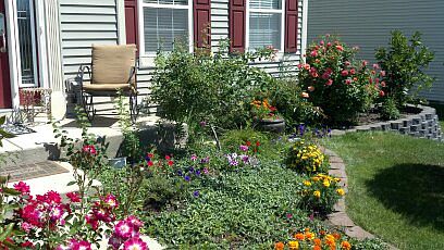 Front yard
