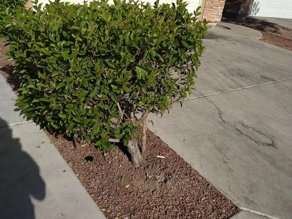4095 Halfmoon Bay Dr, Las Vegas, NV 89115