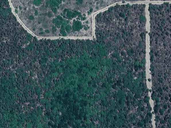 SW 15th Pl #3, Ocala, FL 34481