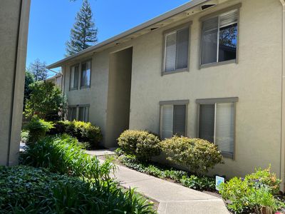 1241 Homestead Ave APT 190, Walnut Creek, CA, 94598