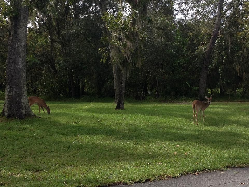 Two visitors
