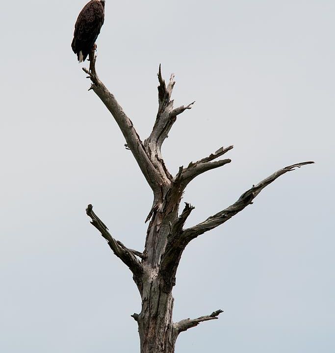 2nd image of 128 Windsong Point