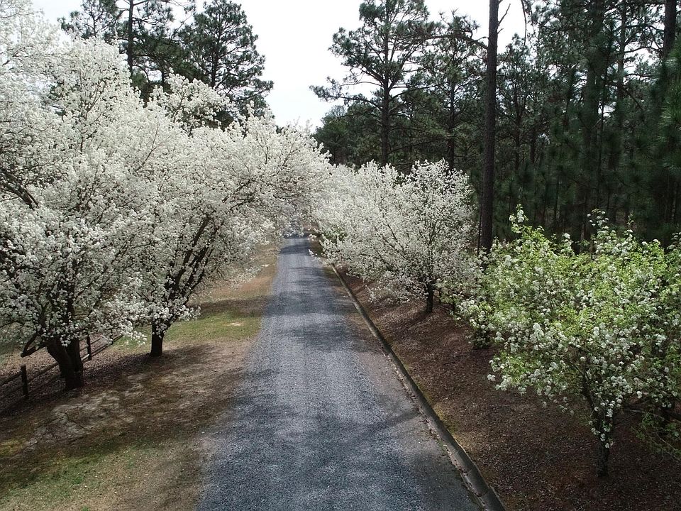 3000 Lakebay Rd, Vass, NC 28394 Zillow