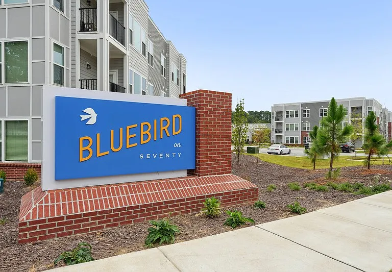 Bluebird on Seventy — Photo 39