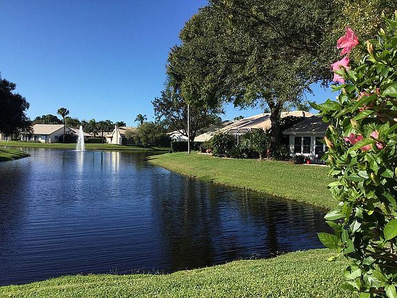 Pond View from Home