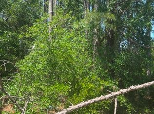 0 Stoney Brook Way, Reidsville, GA 30453