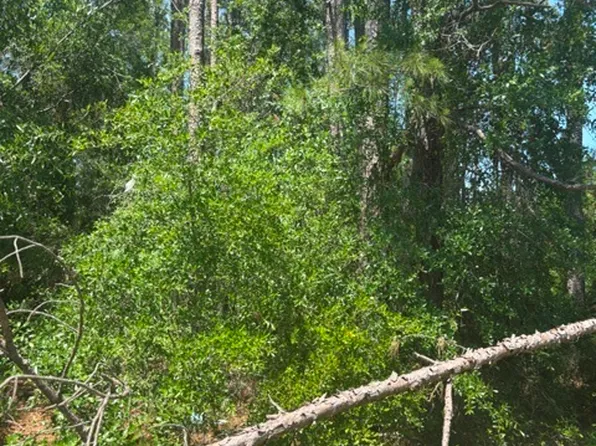 0 Stoney Brook Way, Reidsville, GA 30453