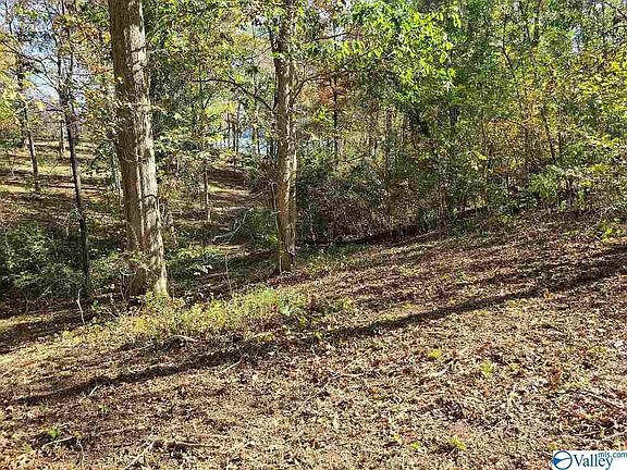 3rd image of 2231 Lookout Mountain Dr