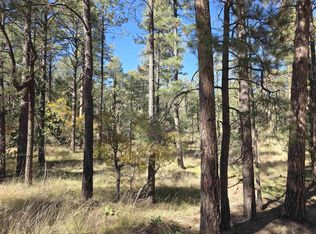 0 Homewood Dr, Timberon, NM 88350