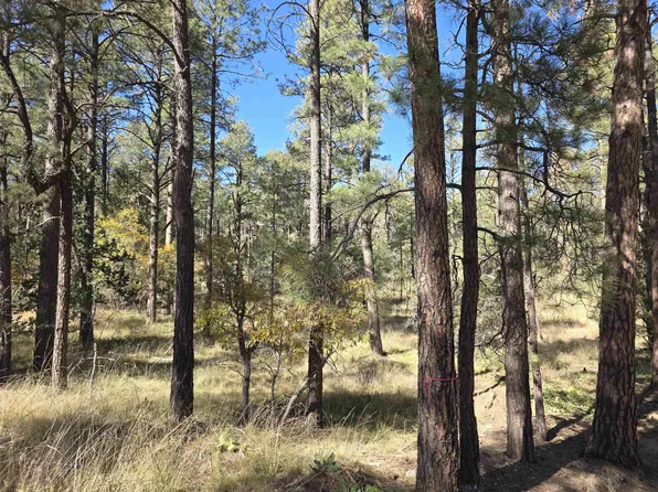 0 Homewood Dr, Timberon, NM 88350