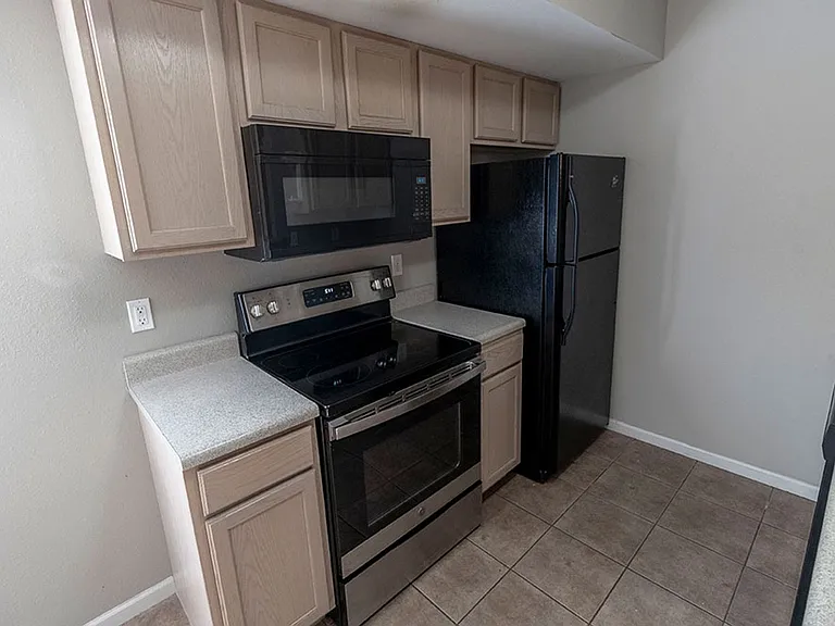 4013 Snowy Owl Dr — Photo 8
