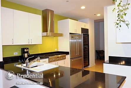 3rd image of 333 N Canal St APT 2703