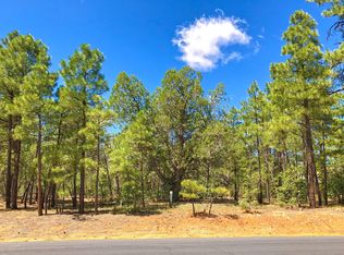 240 Silk Tassel Rd, Show Low, AZ 85901