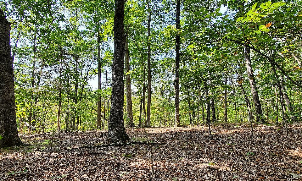 Greatland Farms Lake Lot!