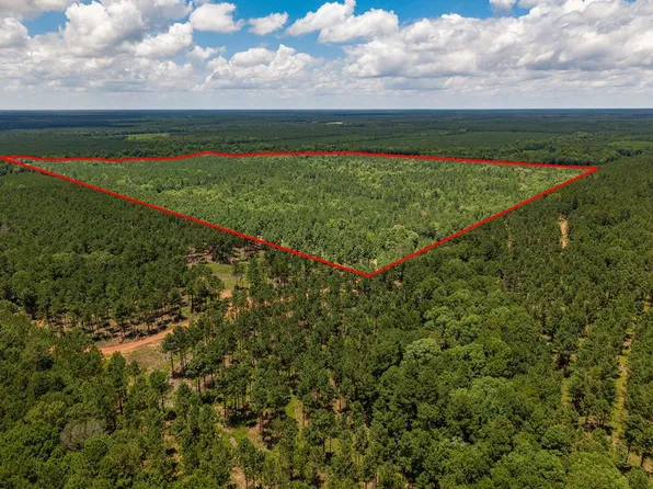 PARCEL 12446 County Road 460, Etoile, TX 75944