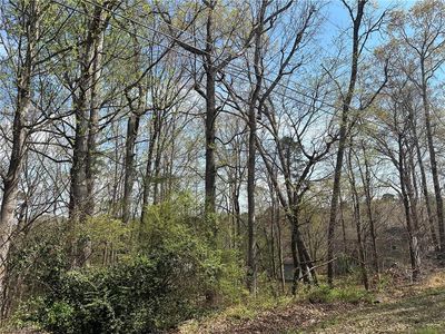 0 Idlewild Drive Ext, Randleman, NC, 27317