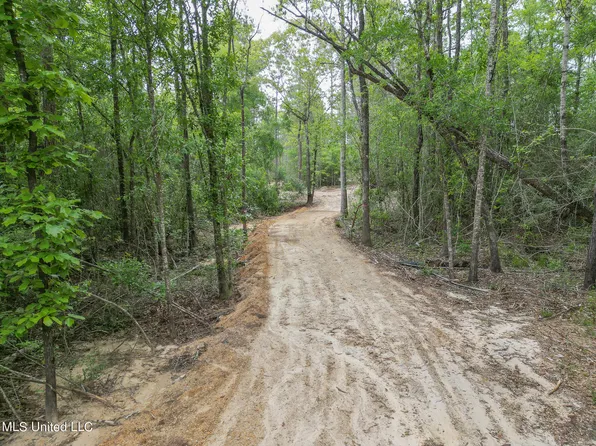 Perkinston Silver Run Rd, Perkinston, MS 39573