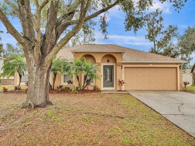 3445 Sleepy Hill Oaks St, Lakeland, FL, 33810