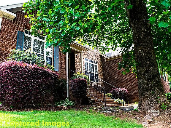 Well established foliage