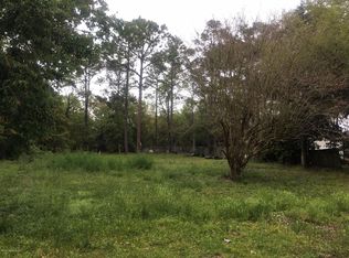 55 Tisonia Rd, Jacksonville, FL 32218