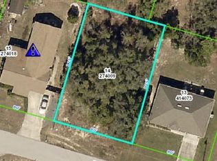 1461 Coble Rd, Spring Hill, FL 34608