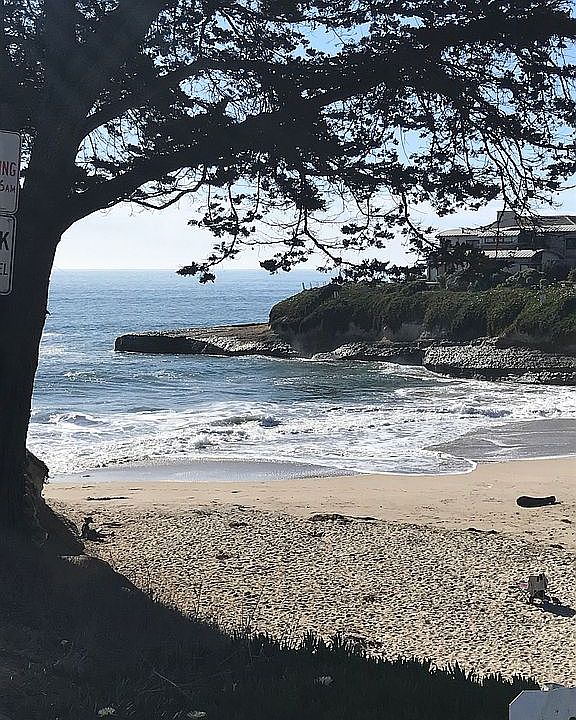 1st image of 150 Sunny Cove Dr