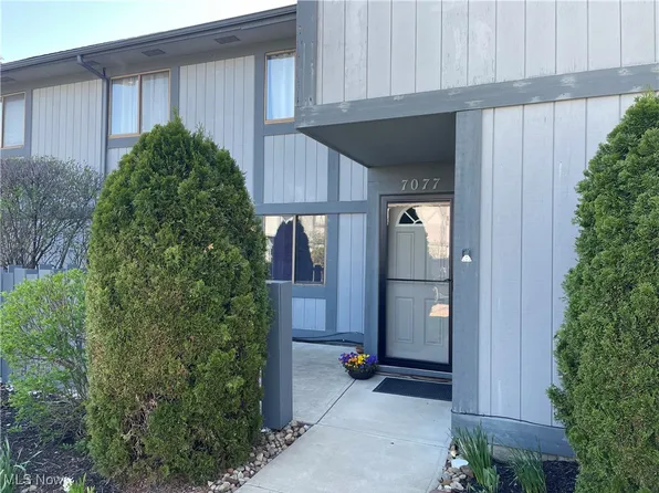 7077 Bristlewood Dr, Painesville, OH 44077