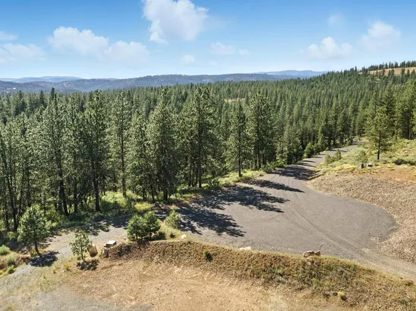 LOT 7 Van Dorn Dr, New Meadows, ID 83654