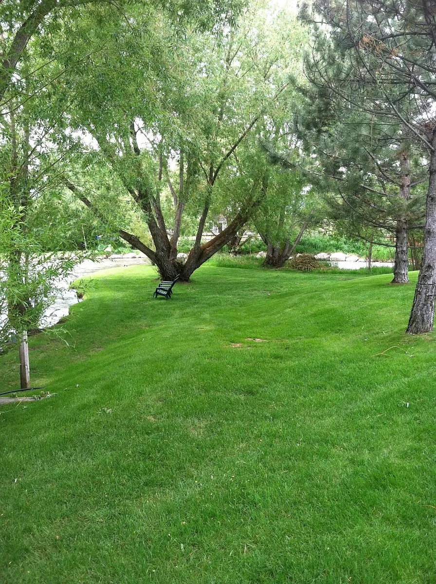 Grass/ view outside front door - Powderhorn Ln