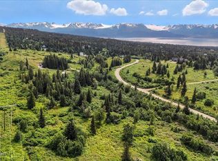 55654 Barn Rd, Homer, AK 99603