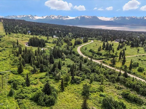 55654 Barn Rd, Homer, AK 99603