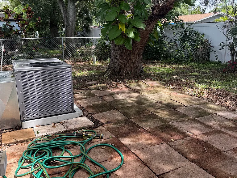 fenced back yard