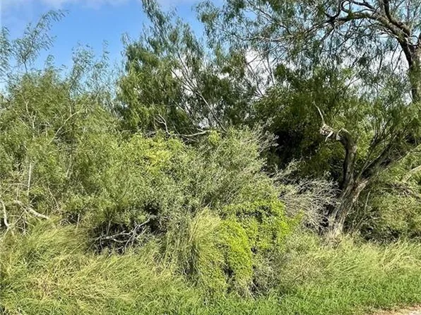 N/a Moon Lake Dr, Weslaco, TX 78596