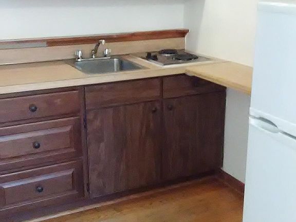 Kitchen sink and two burner electric cook top.
