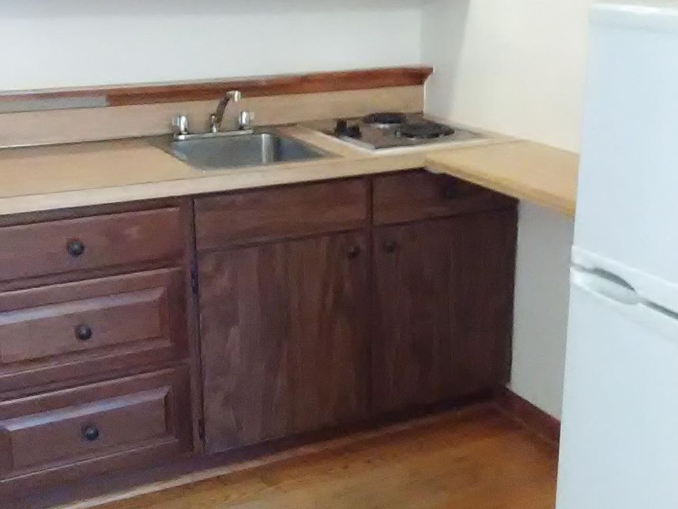 Kitchen sink and two burner electric cook top.