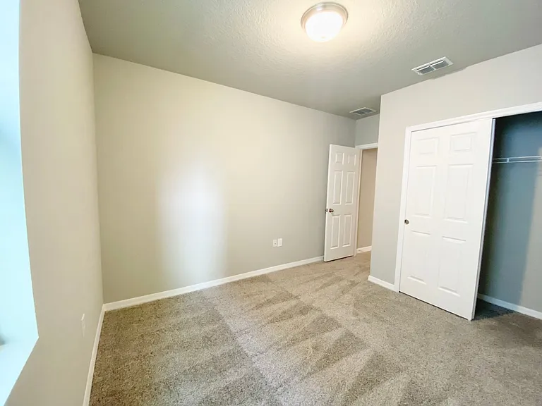572 Sun Warbler Way — Photo 13