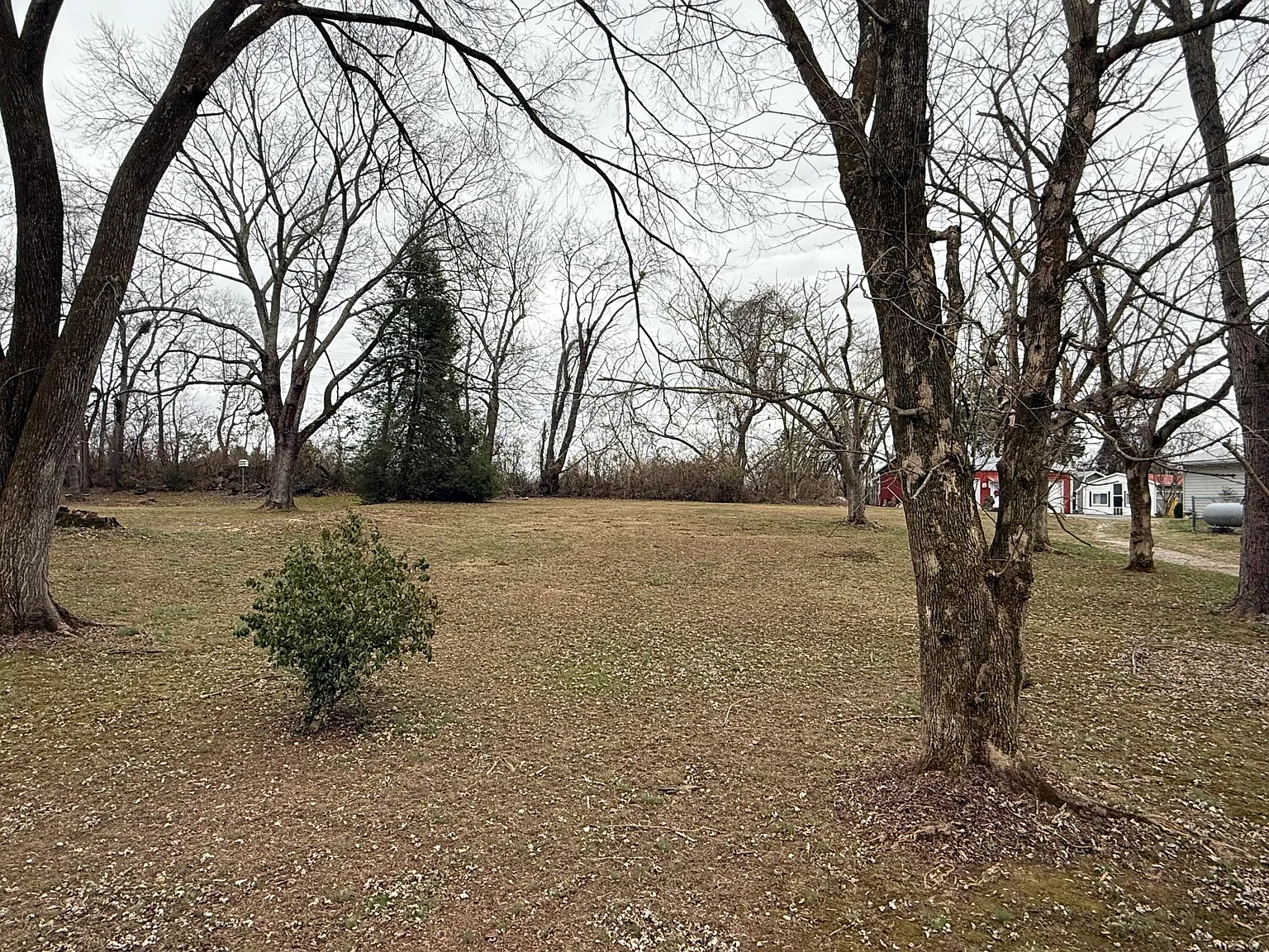 118-119 Oak Ave photo 1