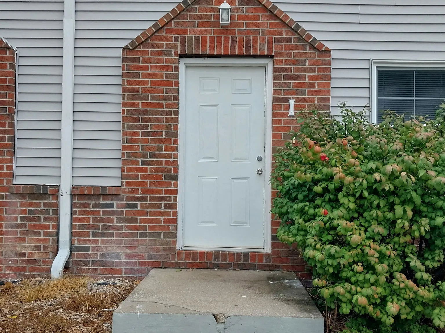 219 Grover Street - I — Photo 3