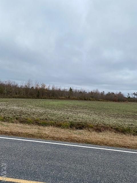 2nd image of Blue Foot Rd