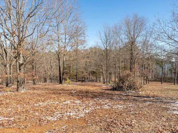 169 Blaze Ln, Shirley, AR 72153