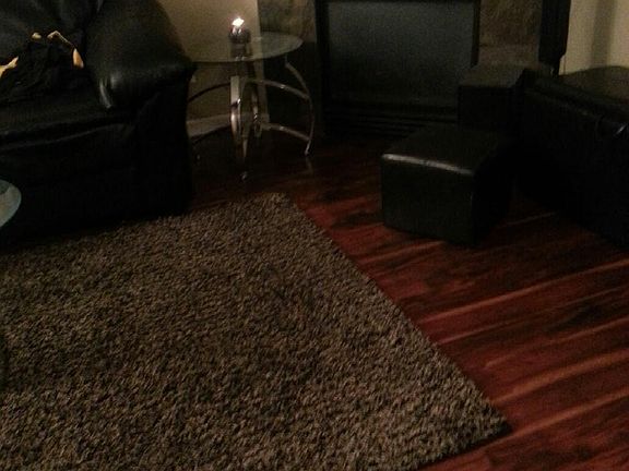 fireplace/living room