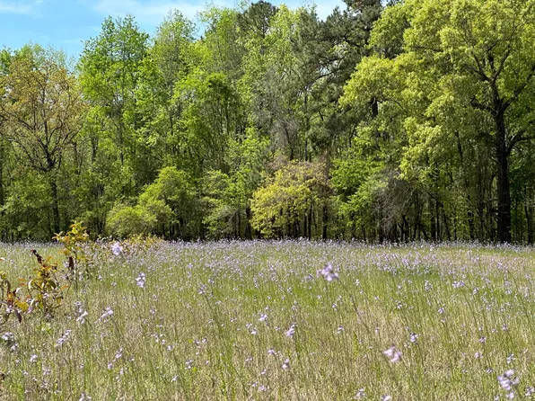 0 State Highway 27, Ridgeville, SC 29472