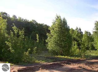 3153 Sage Dr SW, South Boardman, MI 49680