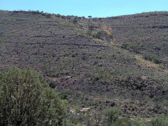 5th image of 4084 S Mule Mountain Dr