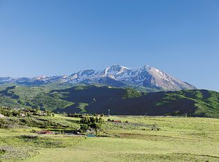 764 Mountain View Rd, El Jebel, CO 81623