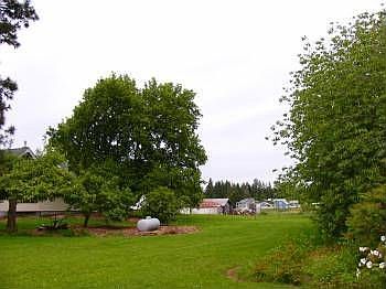 2nd image of 10915 40th Ave E