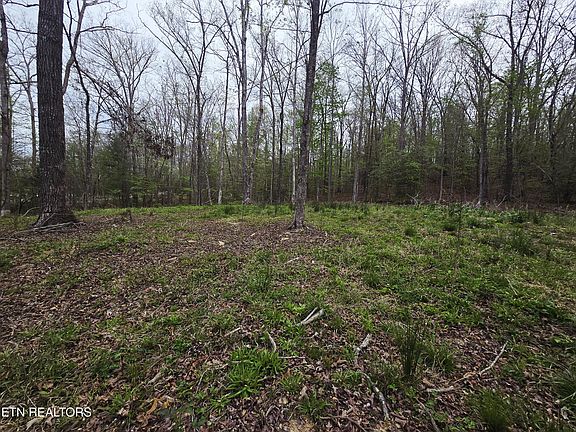 5th image of 0 Scott Fentress Co Line
