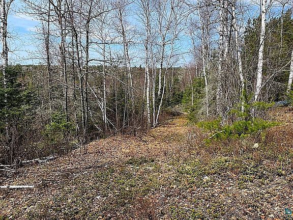 5th image of 1480 Maijala Rd