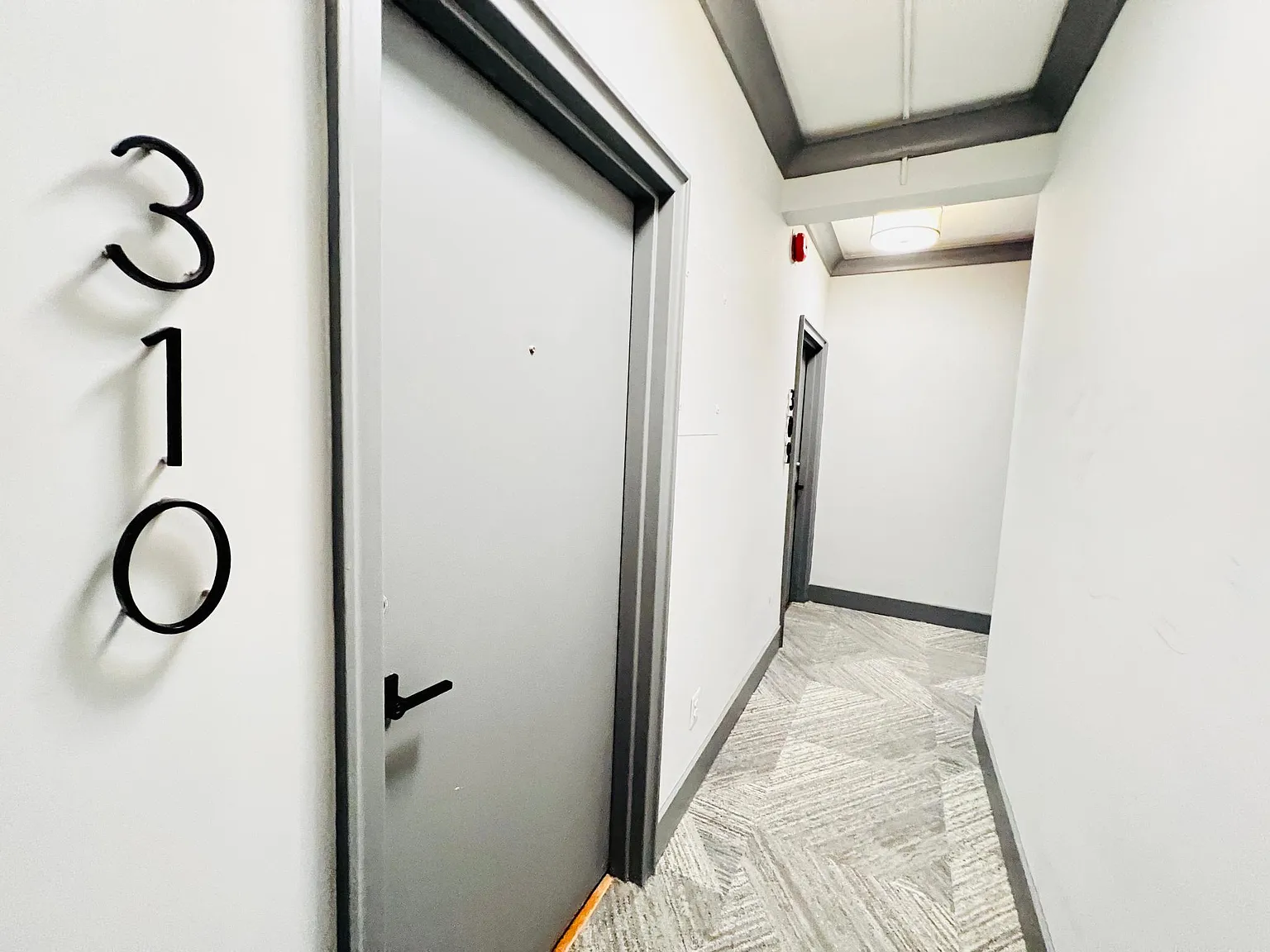 Studio, 400 sqft, $2,000 — Photo 3
