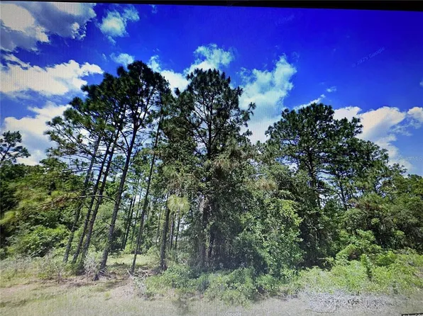 0 SW 135th Loop Lot 21, Ocala, FL 34473